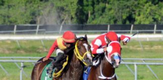 Jinetes Quevedo y Jiménez ganan dos carreras cada uno en el Quinto