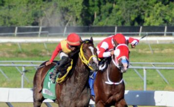 Jinetes Quevedo y Jiménez ganan dos carreras cada uno en el Quinto
