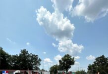 Realizan primer torneo de vitilla en Italia