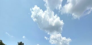 Realizan primer torneo de vitilla en Italia