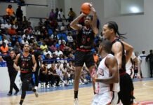 Leones estropean regreso de Cañeros al Eleoncio Mercedes