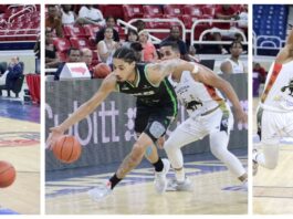 Suero, Pichardo y Castillo llevan a Soles al triunfo ante Leones