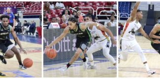 Suero, Pichardo y Castillo llevan a Soles al triunfo ante Leones