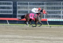 Wicke Wells JLC gana Clásico Matías Ramón Mella