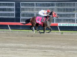 Wicke Wells JLC gana Clásico Matías Ramón Mella