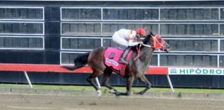 Wicke Wells JLC gana Clásico Matías Ramón Mella