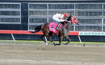 Wicke Wells JLC gana Clásico Matías Ramón Mella