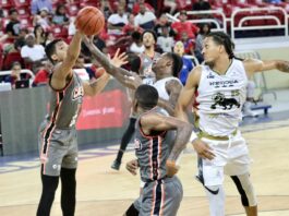 Cañeros barren serie a los Leones