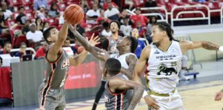 Cañeros barren serie a los Leones