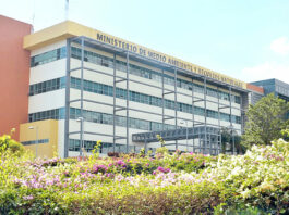 Medio Ambiente investiga muerte de peces en Azua