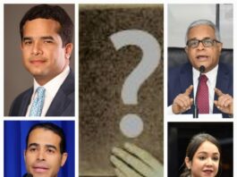 ¿Un nuevo acertijo en la senaduría del DN?