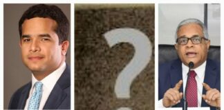 ¿Un nuevo acertijo en la senaduría del DN?