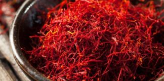 Los 6 mejores alimentos para el cerebro según una experta de la Universidad de Harvard