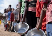 Millones haitianos están al límite de sufrir hambruna