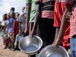 Millones haitianos están al límite de sufrir hambruna