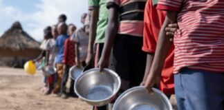 Millones haitianos están al límite de sufrir hambruna