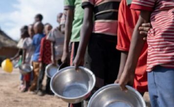 Millones haitianos están al límite de sufrir hambruna