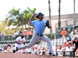 Elvin Rodríguez lanzará en el béisbol japonés