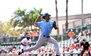 Elvin Rodríguez lanzará en el béisbol japonés