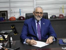 Vitelio Mejía repite como presidente de la LIDOM