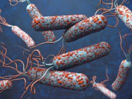 Salud Pública interviene el municipio Enriquillo tras confirmar casos de cólera