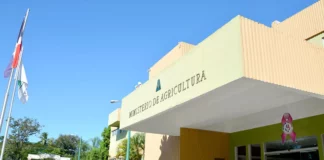 MP presenta pruebas desfalco Agricultura por $4 millones