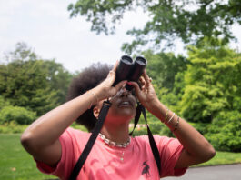 Atención a los pájaros