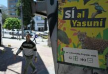 Ecuador vota a favor de detener la explotación petrolera en una las zonas de mayor biodiversidad del planeta