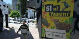 Ecuador vota a favor de detener la explotación petrolera en una las zonas de mayor biodiversidad del planeta