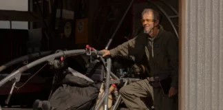 Un biólogo enseña una nueva ruta migratoria a las aves que perdieron la suya