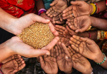 Traficantes de hambre