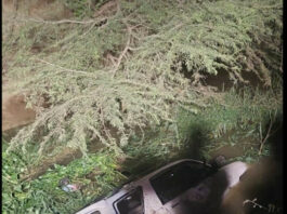 Al menos trece personas fallecidas en accidente de tránsito en Valverde