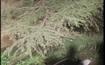 Al menos trece personas fallecidas en accidente de tránsito en Valverde