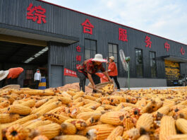 China entra en deflación: ¿Qué peligros conlleva para la economía mundial?
