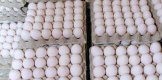 Gobierno comprará productos perecederos durante cierre frontera dominicana con Haití