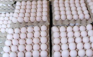 Gobierno comprará productos perecederos durante cierre frontera dominicana con Haití