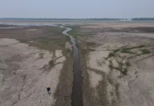 ‘El agua se convirtió en barro’: la grave sequía que causa estragos en la Amazonía