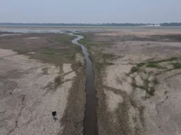 ‘El agua se convirtió en barro’: la grave sequía que causa estragos en la Amazonía