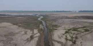 ‘El agua se convirtió en barro’: la grave sequía que causa estragos en la Amazonía