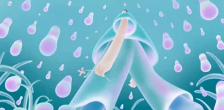 Deja los audífonos y aprende a caminar en silencio