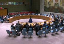 Consejo de Seguridad de la ONU renueva sanciones contra Haití