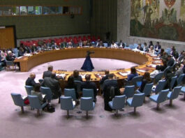 Consejo de Seguridad de la ONU renueva sanciones contra Haití