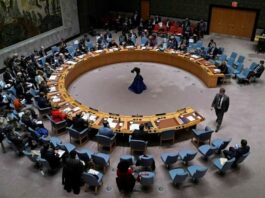 ONU autoriza despliegue de fuerza multinacional en Haití