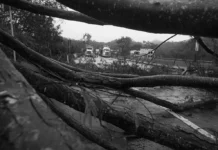 El Niño es un fenómeno predecible. Podemos prepararnos mejor