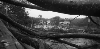 El Niño es un fenómeno predecible. Podemos prepararnos mejor