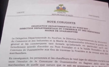 Haití multará a sus ciudadanos con hasta 500 mil gourdes por llevar mercancía ilegal desde RD