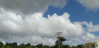 Arrancó el 2do Clásico de Softball Femenino en opción a la copa “Grandes En Los Deportes”