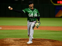 Estrellas lanzan no-hitter al Licey en su cumpleaños