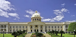 Presidente Abinader crea Comisión Dominicana del Plátano (Codoplátano)