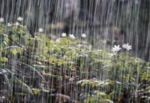 Vaguada continuará generando lluvias en gran parte de la República Dominicana